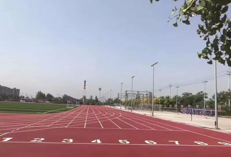 塑胶跑道厂家 塑胶跑道厂家