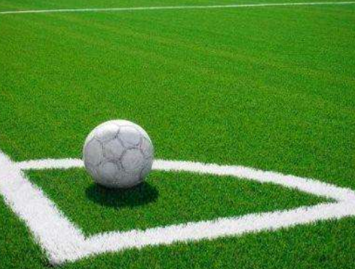 河南人造草坪厂家 河南人造草坪厂家