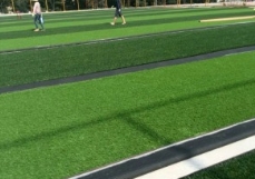 人造草坪 人造草坪