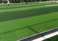 人造草坪 人造草坪