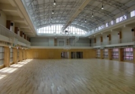 运动木地板 运动木地板